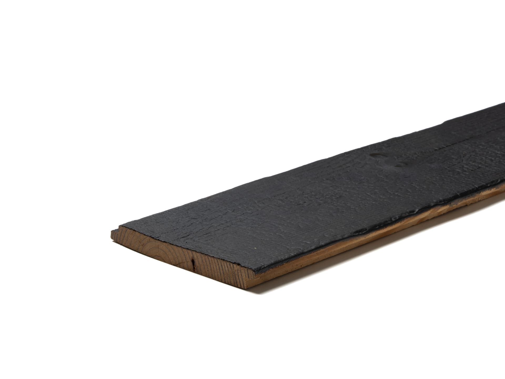 Siberian Larch Alligator Skin